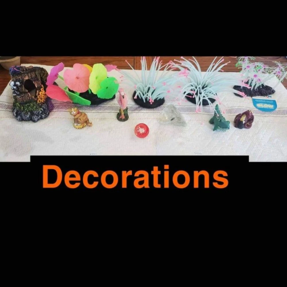 Fish Tank + Supplies